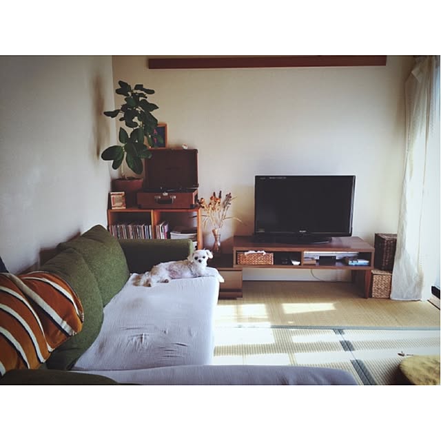 machik0101さんの実例写真