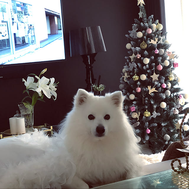 Keityさんの実例写真
