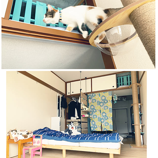 saoさんの実例写真