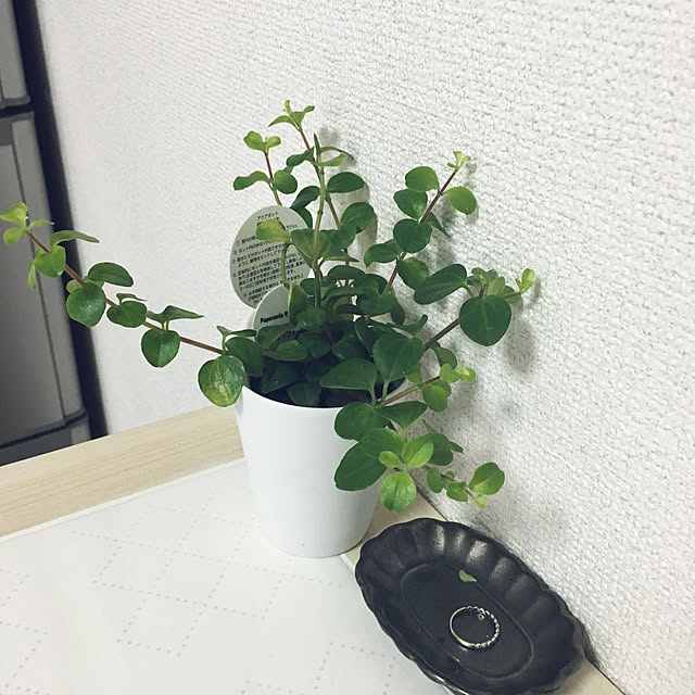 junjun.9216さんの実例写真