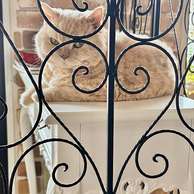 naokoさんの実例写真