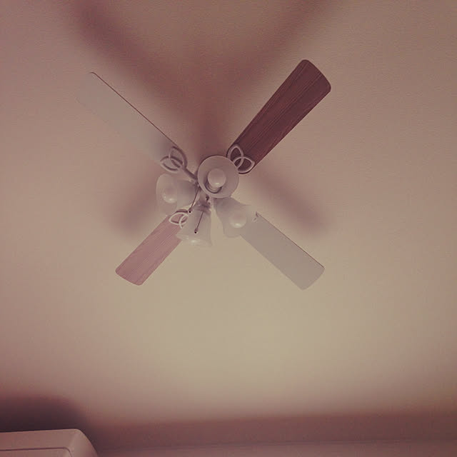 sanaさんの実例写真