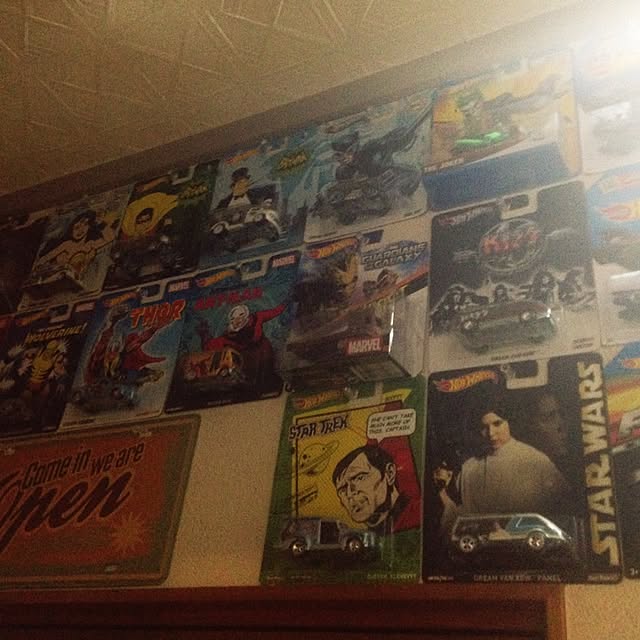 collecterさんの実例写真