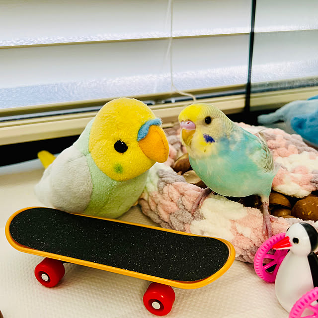 kurumeruさんの実例写真