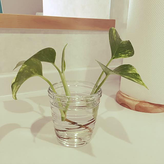 orzmamamaさんの実例写真