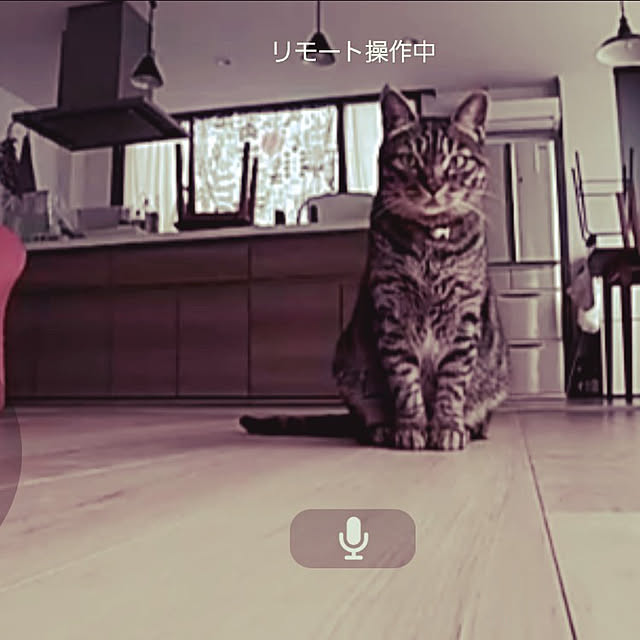 nonchanさんの実例写真