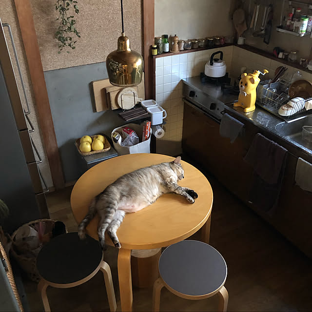 nejimakiさんの実例写真