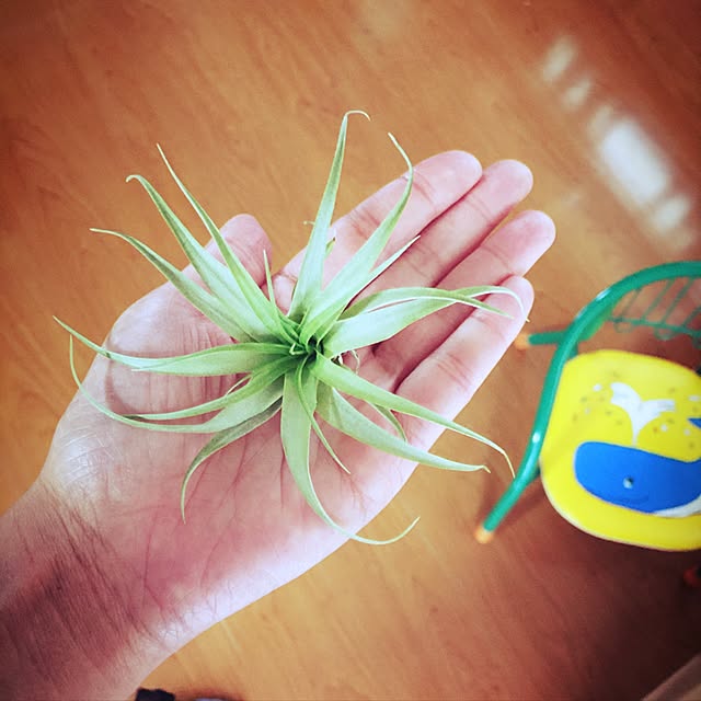nene0183さんの実例写真