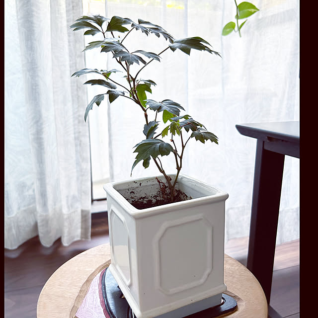 kiyoeさんの部屋