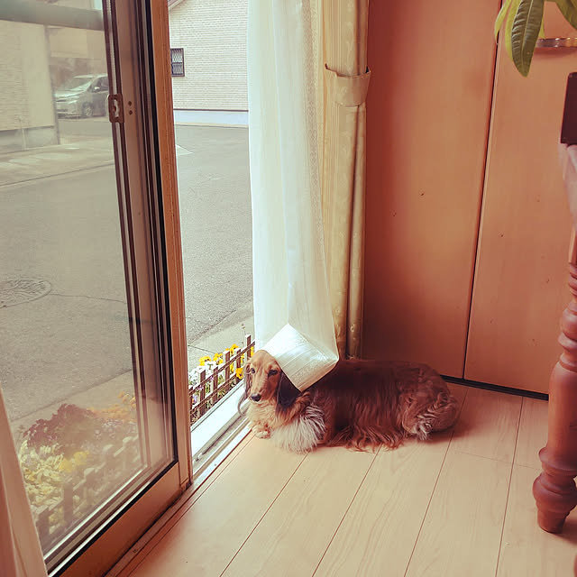 rikachakoさんの実例写真