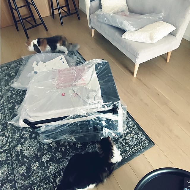 +CHIHARU+さんの部屋