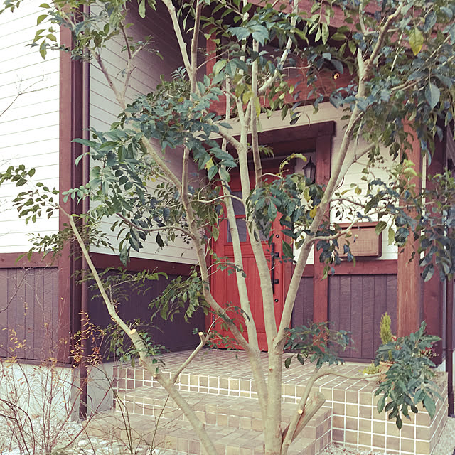 miyaさんの実例写真