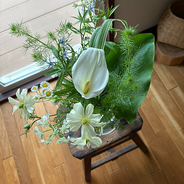 nana77さんの部屋