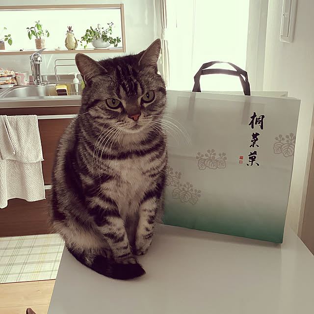 richanさんの実例写真