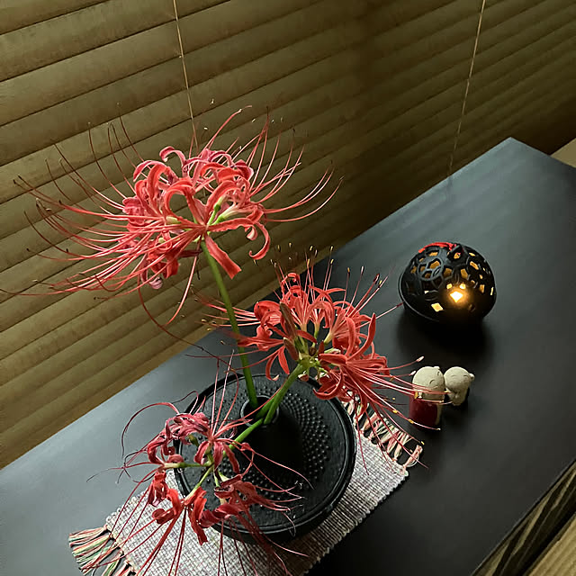 ikubooさんの部屋