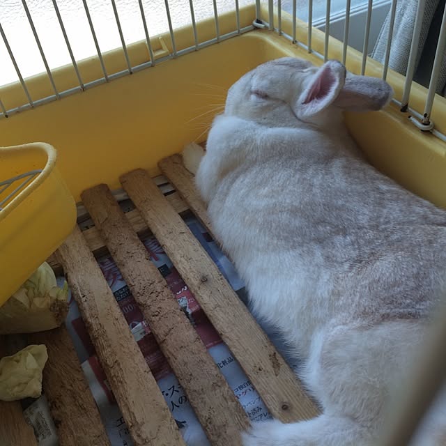 Hitomiさんの実例写真
