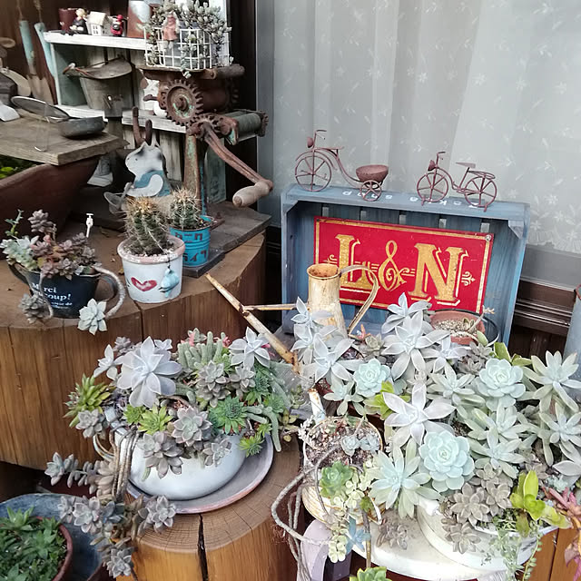 haruiroさんの実例写真