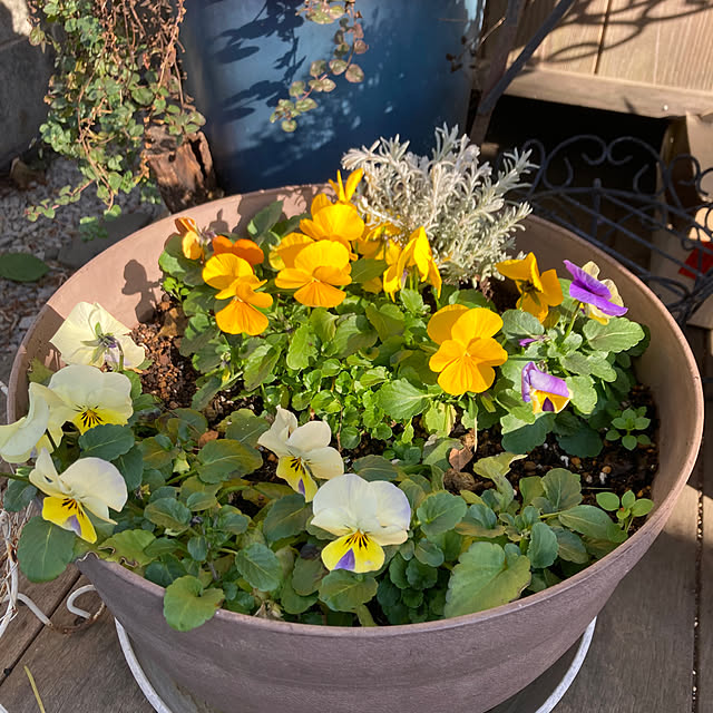 amiromikaさんの部屋