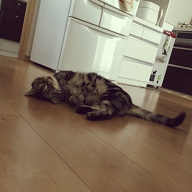 richanさんの実例写真