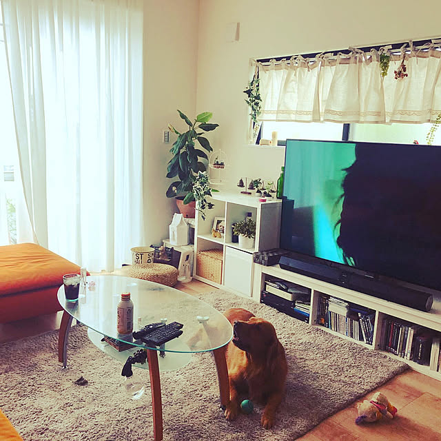 Junさんの実例写真