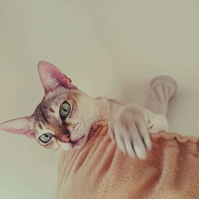 Jcさんの実例写真