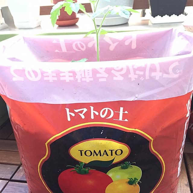 MFO3582さんの実例写真