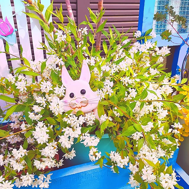Miyumamaさんの部屋