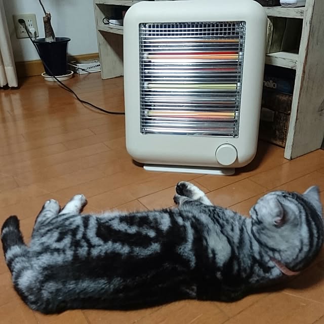 dolce5012さんの実例写真