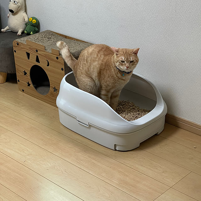 chiiさんの実例写真