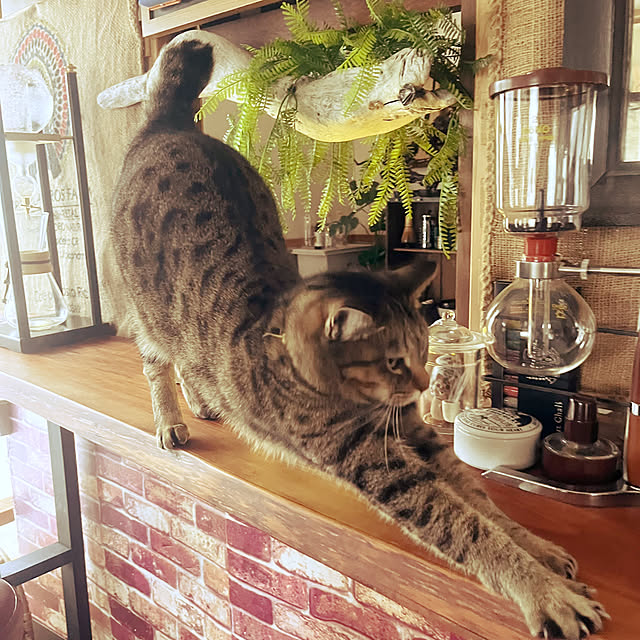 Mさんの部屋