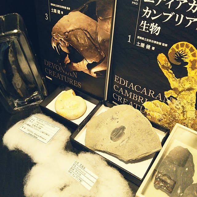 yuiticさんの実例写真