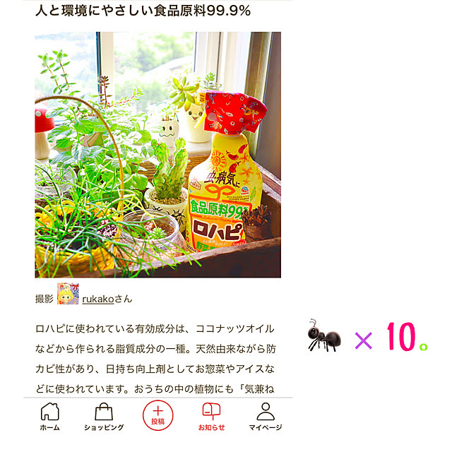 rukakoさんの実例写真
