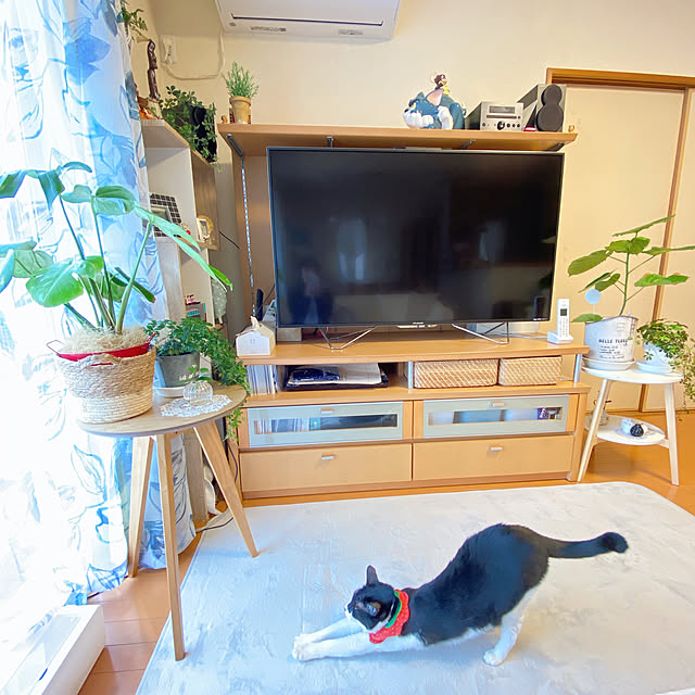 moolさんの実例写真