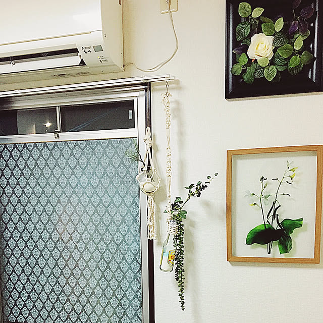 観葉植物/ダイソー/100均/レトロ/DIY...などのインテリア実例 - 2020-01-14 14:41:20