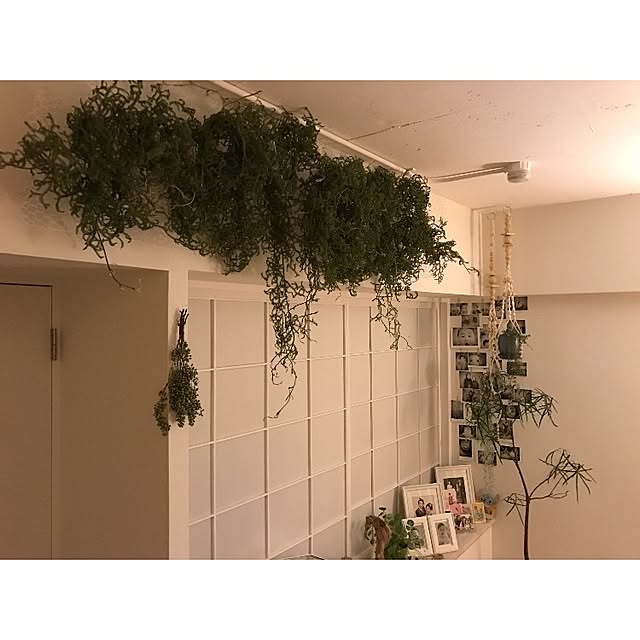 sot1127さんの実例写真
