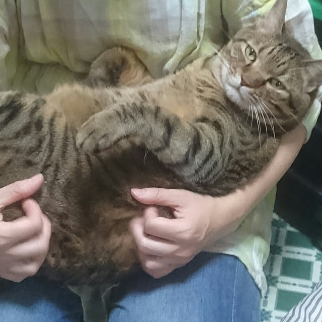 実例写真