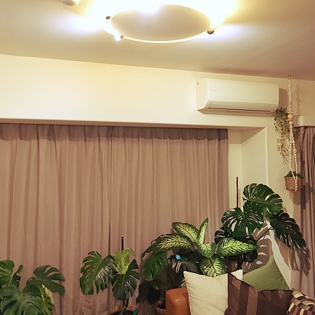 ikkaさんの実例写真