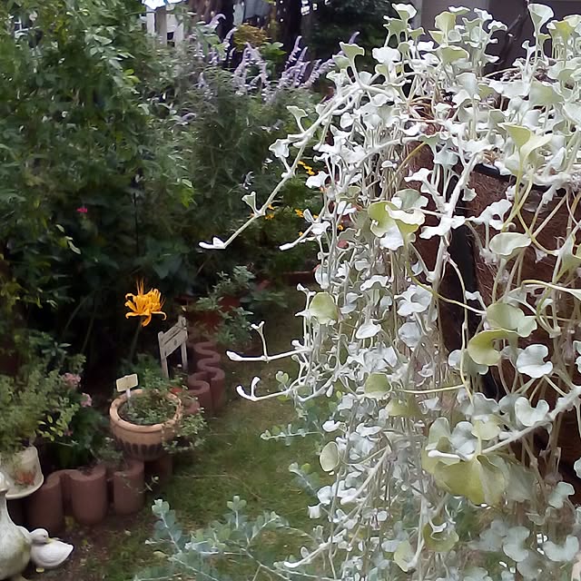 mariagardenさんの実例写真
