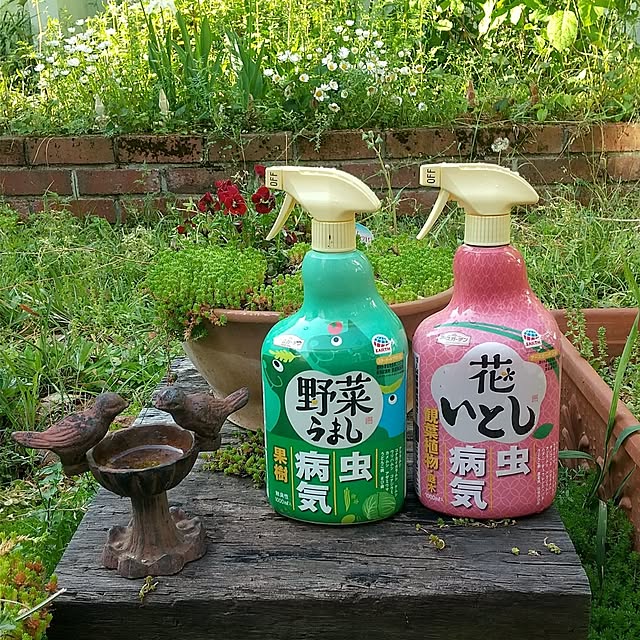 Rさんの実例写真