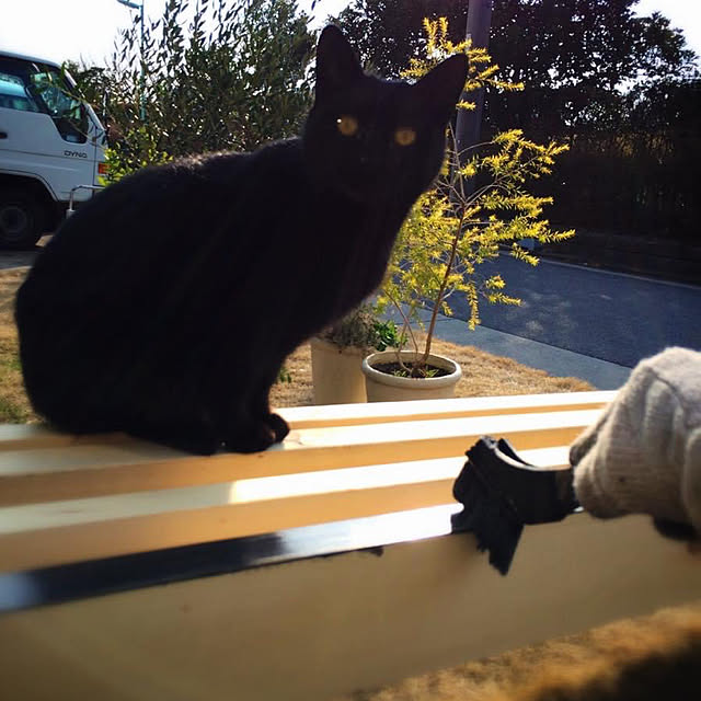 weさんの実例写真