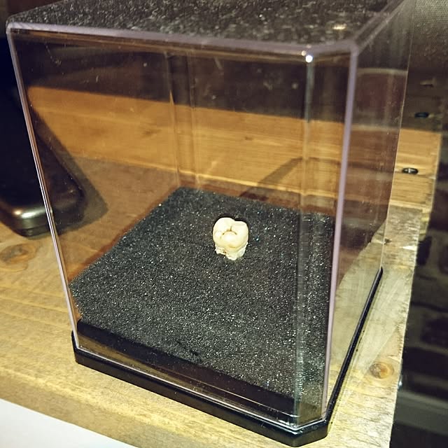 r1111k1212さんの実例写真