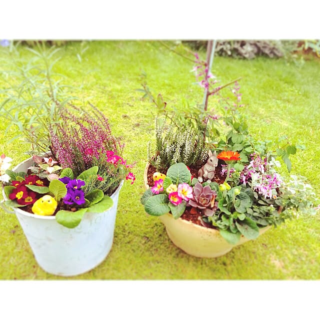 玄関/入り口のインテリア実例 - 2015-11-02 14:55:02
