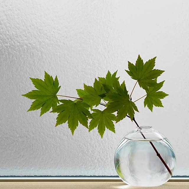 kumako.ieさんの実例写真