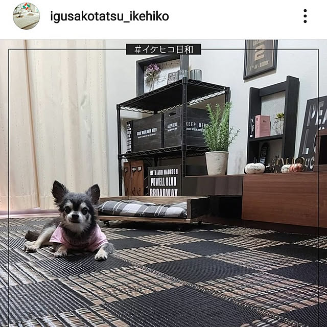 lovepeaceさんの実例写真
