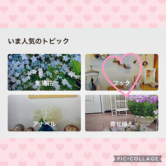 CoCo0617さんの実例写真