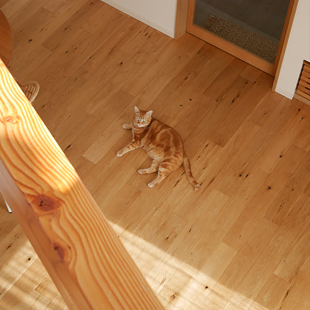 shiiiさんの実例写真