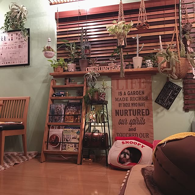ANNAさんの実例写真