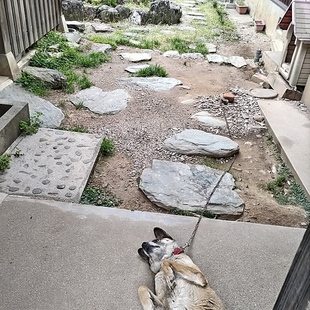 kuririnmamaさんの実例写真