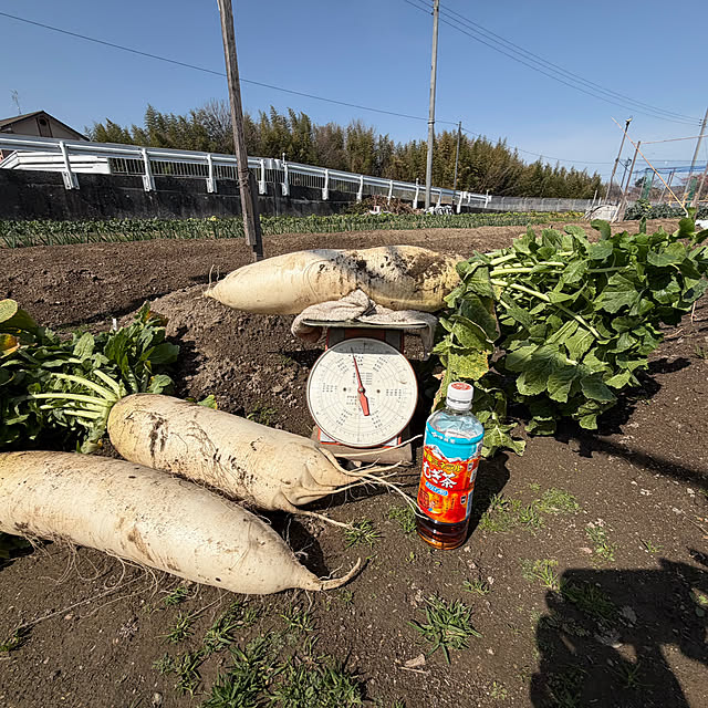 piropitaさんの部屋