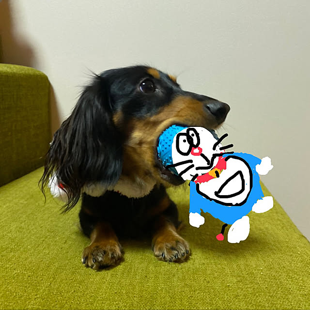 uninekoさんの実例写真